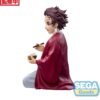 Figura Tanjiro PM Perching