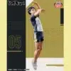 Figura Keiji Akaashi Haikyuu Posing Figure