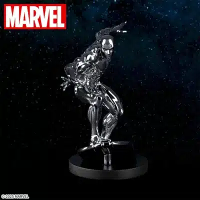 Silver Surfer ACT